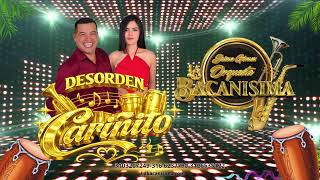 🎺🔥 DESORDEN CARIÑITO – ORQUESTA LA BACANÍSIMA 🔥🎺
