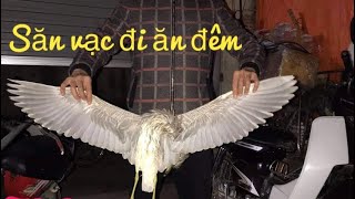 Săn đêm// tập 32 - thử thách khó, bem vạc trong bóng đêm