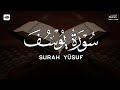 سورة يوسف كاملة مكررة تلاوه ساكنه كسكون الليل محمد هشام 