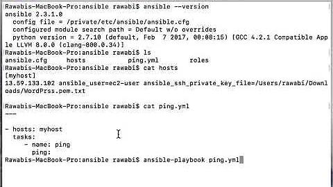 ansible playbook that ping remote host