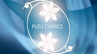 Video thumbnail of "Puiu Chibici - Cu Tine, drag Isuse!"