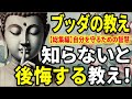 【ブッダの教え】「総集編」知らないと後悔する!自分を守るための3つの仏教の教え!