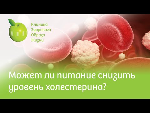 Может ли питание снизить уровень холестерина?