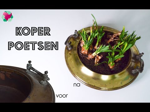 Video: Hoe Koper Schoon Te Maken?