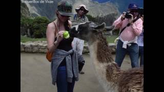 Motivos por los que debes visitar Cusco