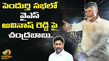 Chandrababu Naidu About YS Avinash Reddy At Pendurthi Public Meeting | TDP Vs YCP | Mango News