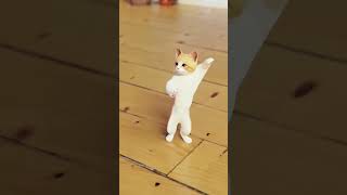 dancing cat #cartoon #viral #shorts