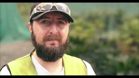 Anthony Spalding Interview   Cut 2