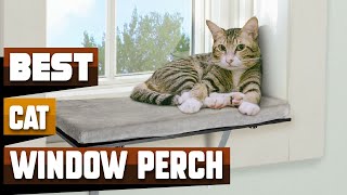 Best Cat Window Perche In 2024  Top 10 Cat Window Perches Review