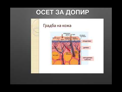 4.1. Осети (осети и перцепции)