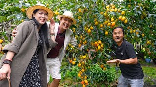 Địa Điểm Hót Nhất Măng Đen Nơi Già Làng Đầu Tư Khách Sạn 20 Tỷ