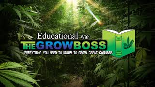 Grow Boss LIVE Stream- everything you need to know--- over and over and over