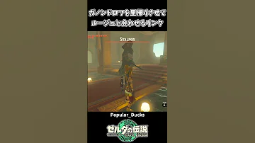 ガノンドロフをゲルドの街に入れてみた結果ｗｗ ゼルダの伝説 ティアーズ オブ ザ キングダム 