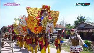 Kejebak nyaman_[ ipah asyifa ] manuk dangdut ipah nada