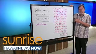 Business Report: 10 days of Maui arrivals