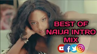 BEST AFROBEAT 2021 INTRO | BEST OF NAIJA AFROBEAT | AFROBEAT MIX 2021 | DJ AMANI FT DJ HANC