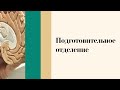 Подготовительное отделение ВолгГМУ - День открытых дверей онлайн 2021