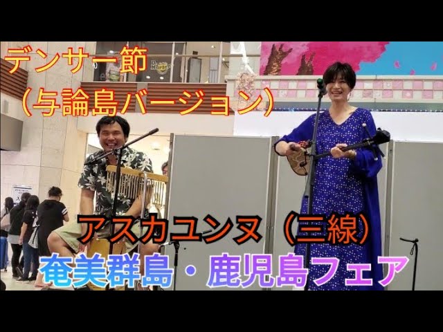 デンサー節（与論島バージョン） アスカユンヌ（三線）与論島