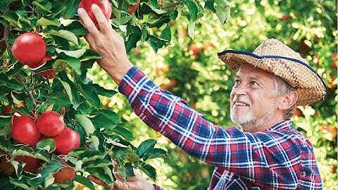 FRESHLONG™ 1-MCP by Ecoplants Co.,Ltd. (Korean Made, Korean Technology)