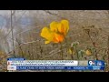 Noted conservationist pitches interactive Exploratorium for EP