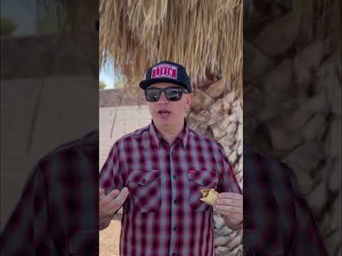 Video thumbnail: Al Pastor Taco Review - Scottsdale AZ - #arizonafoodie #tacoreview