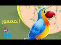 العصفور أناشيد للصغار 