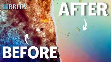 Brita Water Filter VS (Dirt, Bacteria, Tap Water)