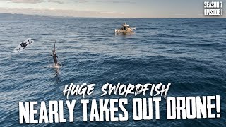 BIGGEST fish we&#39;ve ever caught! S7 EP1 - Waihau Bay