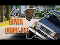 Car hawking with a harris hawk