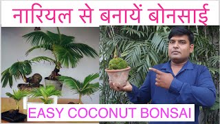 ऐसे नारियल से बनाइए बोनसाई पौधा ।। DIY COCONUT BONSAI AT HOME || HOW TO MAKE COCONUT BONSAI PLANT