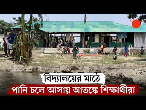 পদ্মার ভাঙনে বিলীনের শঙ্কায় প্রাথমিক বিদ্যালয়, অনিশ্চয়তায় শিক্ষার্থীরা | Padma River Erosion | News