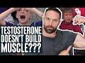 Testosterone doesn't build muscle???