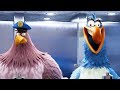 ANGRY BIRDS MOVIE 2 "Bathroom" Clip
