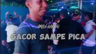 Download lagu GACOR SAMPE PICA - NZAR D'DJOKEY REMIX (UMBU NANDO)