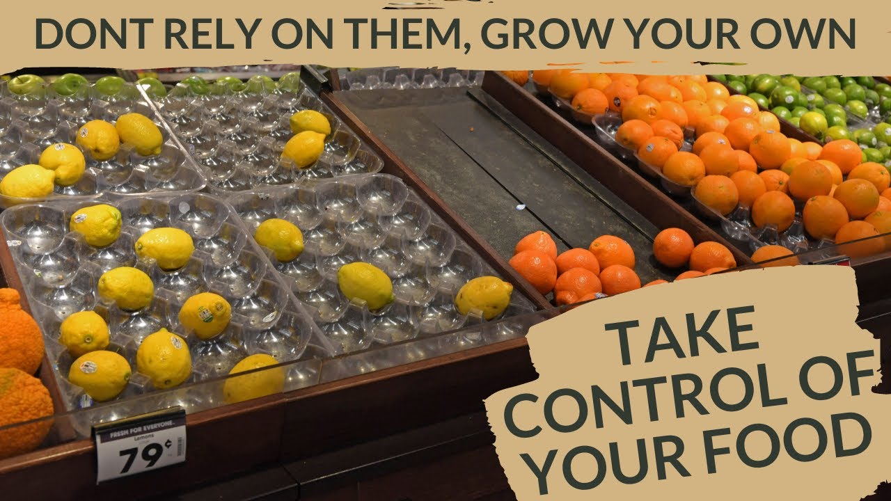 How To Combat Food Shortage + Rising Food Costs YouTube