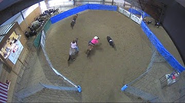 Big Sky Ranch Sorting Saddle Series #4 - #7 SORT - Round #1 - Ride #21