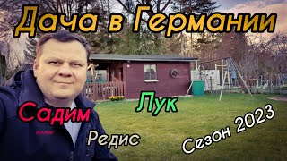 Дача в Германии. Садим Редис. Лук. Брызгаем Деревья. Жизнь в Германии.