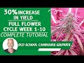 Rescue my grow series 1 30 yield increase full cannabis flower stage tutorial  episode 11