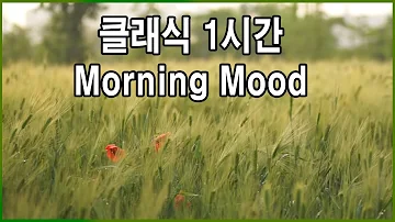 클래식 1시간 반복 -Morning Mood (by Grieg) 아침기분 -그리그 -비오는영상