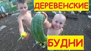 Деревенские будни / дети / Аля / Огород / Мама кошка / Семья в деревне