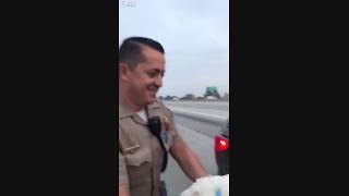 Rogue Chicken Arrested For Being On Freeway !!!