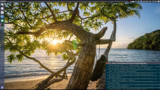 cutie.py wallpaper script