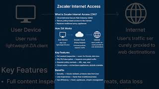 ZScalar Internet Access