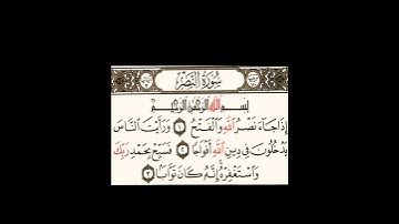 سورة النصر - الشيخ علي الحذيفي