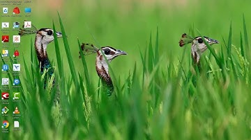 Pricing level & planning - localization optimal solution