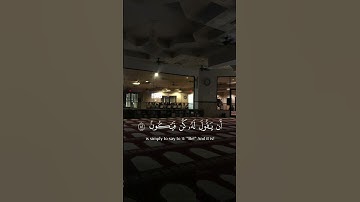 أكتب شيء تؤجر عليه❤📿 | سورة يس | القارئ احمد بن طالب.