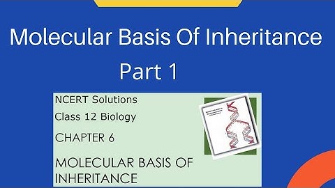 Molecular basis of inheritance /Part 1 / Plus two/ Malayalam / For Kerala board, Cbse, Neet