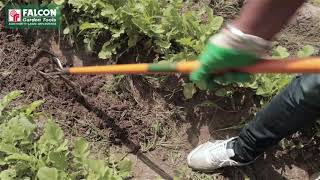 FALCON Weeding Cultivator