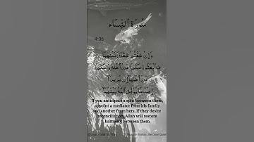Surah An-Nisa Ayat No 4 :35 | Arabic | سورة النساء | With English Translation verses #quran #allah