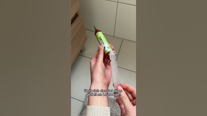 Silberfische erfolgreich bekämpfen ✔️